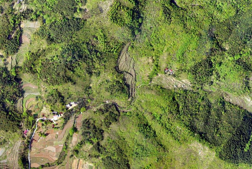 無人機技術在現代林業(yè)工作方面的應用(圖2)