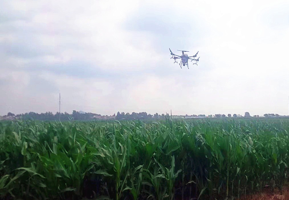 無人機助力玉米病蟲害防治噴灑工作(圖1) 無人機助力玉米病蟲害防治噴灑工作(圖1)