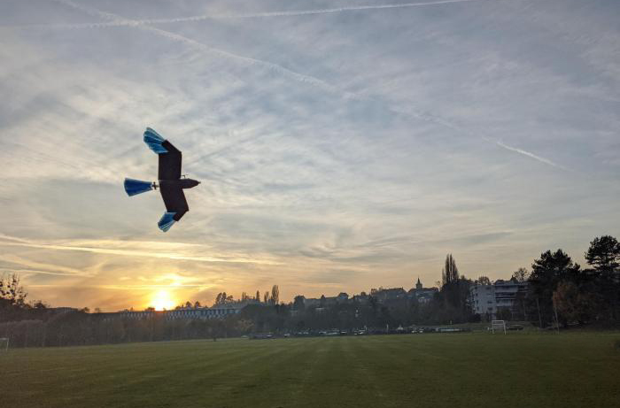 最新研發鳥型無人機 可在城市森林等密集環境轉彎避障(圖1) 最新研發鳥型無人機 可在城市森林等密集環境轉彎避障(圖1)