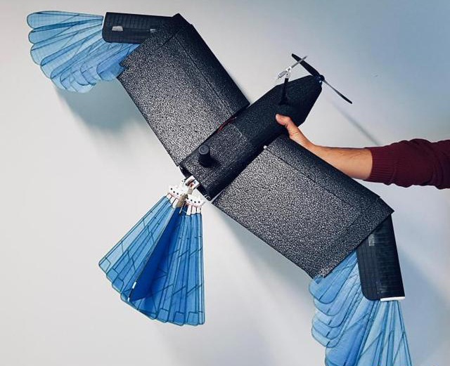 最新研發鳥型無人機 可在城市森林等密集環境轉彎避障(圖2) 最新研發鳥型無人機 可在城市森林等密集環境轉彎避障(圖2)