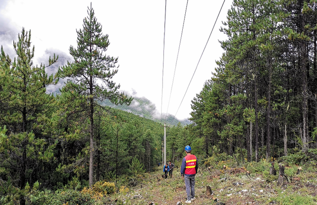 無人機紅外測溫巡邏,助力山林排查隱患(圖1) 無人機紅外測溫巡邏,助力山林排查隱患(圖1)