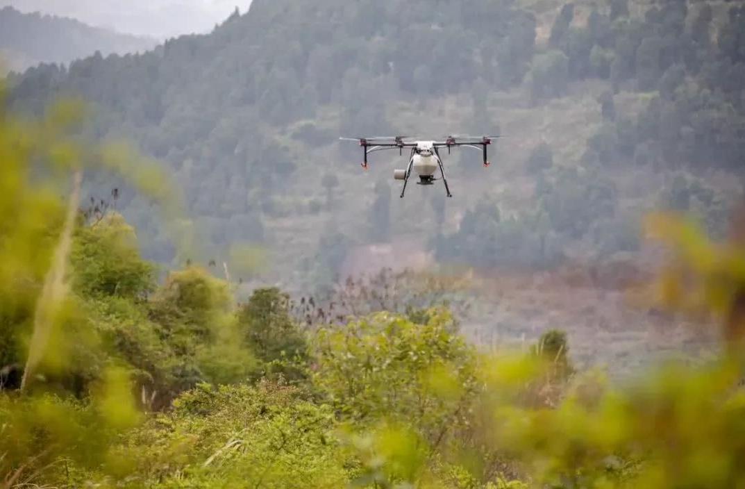 克羅地亞通過(guò)無(wú)人機(jī)播種修復(fù)被大火破壞的森林(圖1)